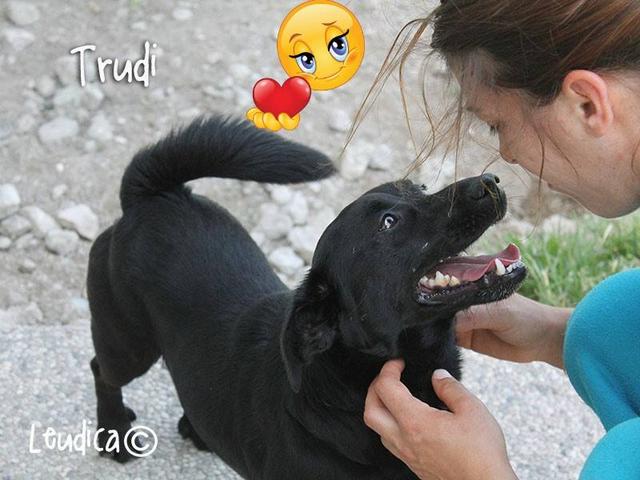 Trudi ora Toby